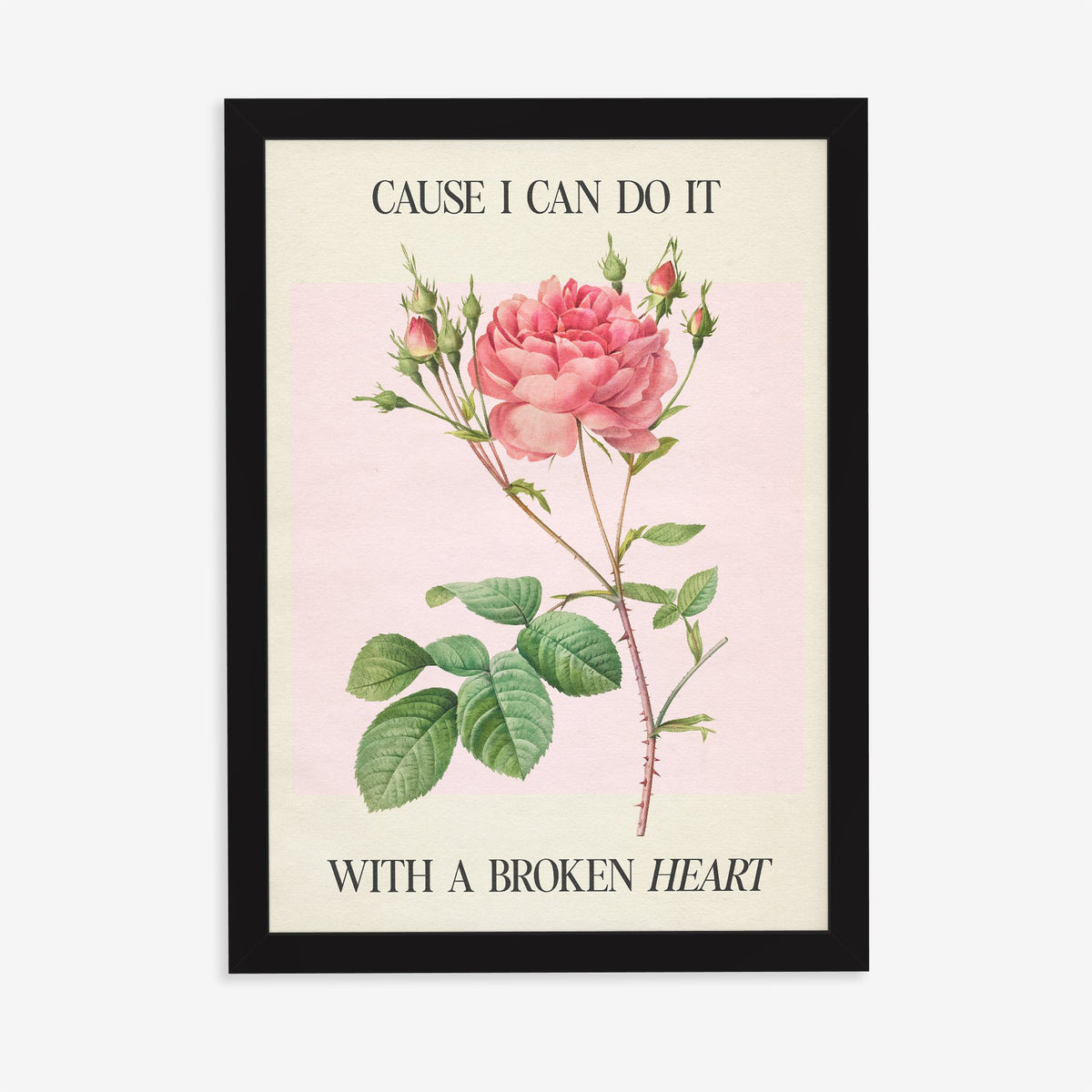 Cause I Can Do It With A Broken Heart Taylor Swift print of a coral pink rose on pale pink, in a black frame on a plain wall