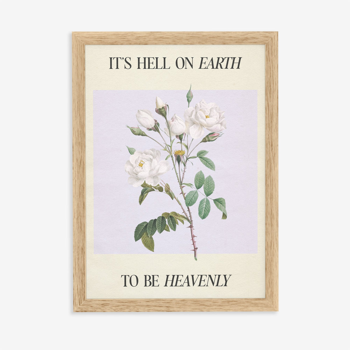 Hell On Earth To Be Heavenly - Clara Bow Taylor Swift print of white roses on soft lilac, in an oak frame on a plain wall