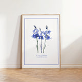 If I Was A Bluebird Print