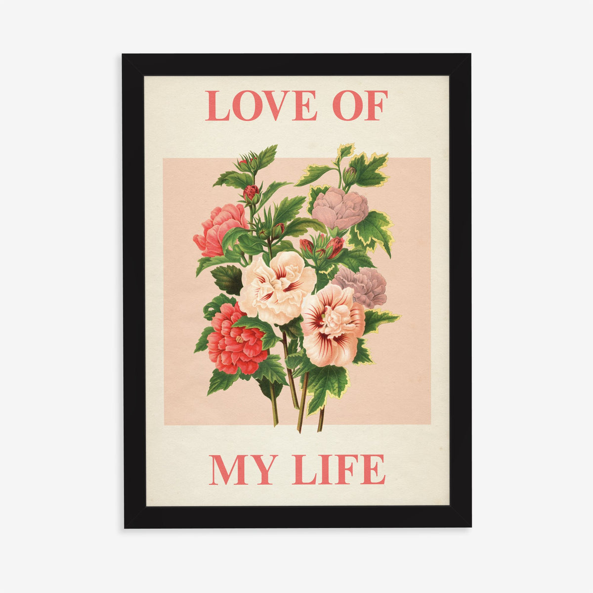 Love Of My Life Harry Styles print of pink and red roses on blush pink, in a black frame on a plain wall