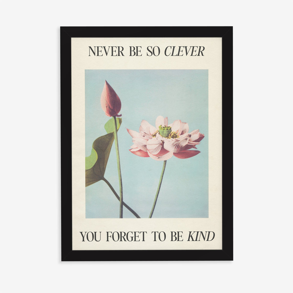 Never Be So Clever Taylor Swift print of a pink lotus on pale blue between lines of lyric, in a black frame on a plain wall