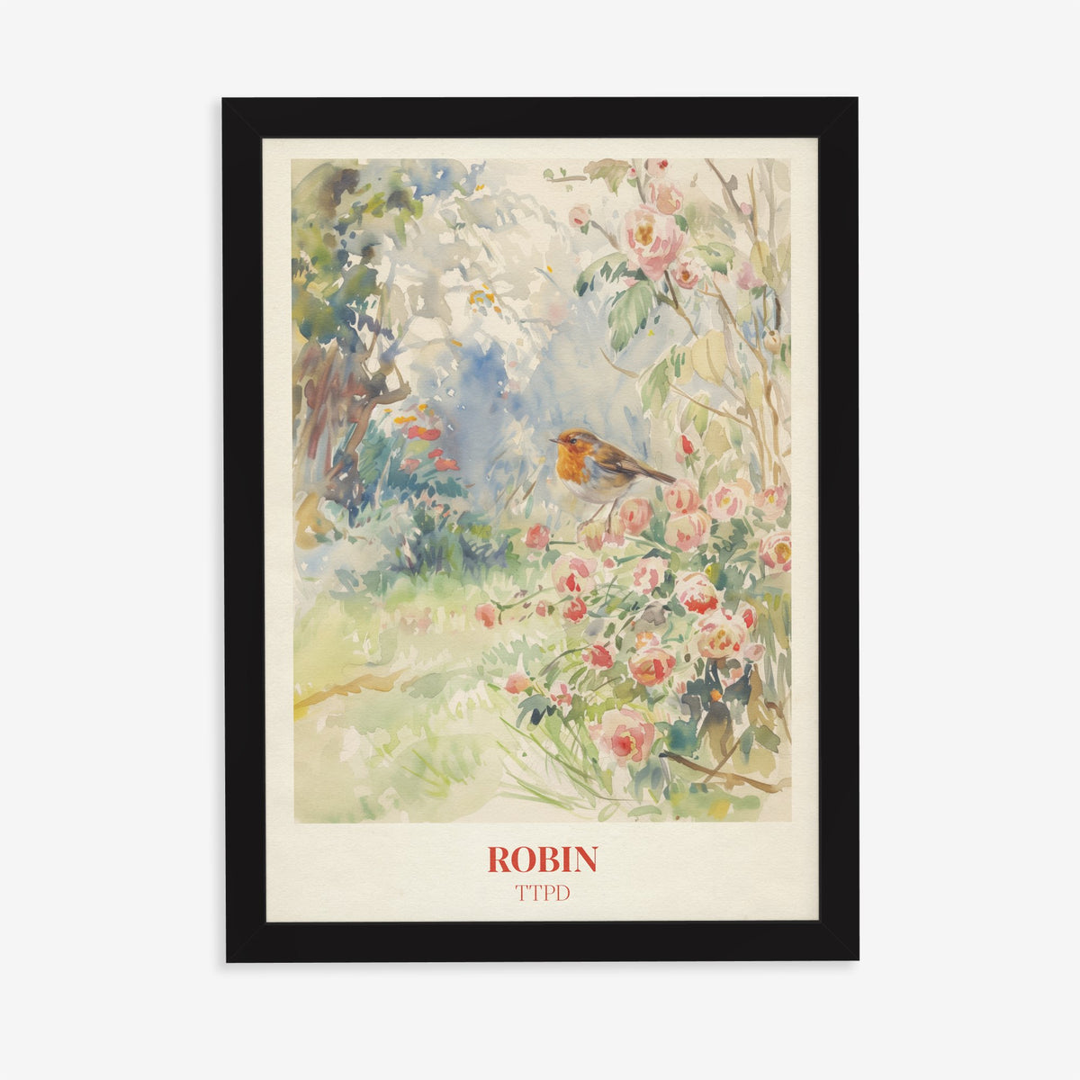 Robin Taylor Swift print of a robin among pink wild roses in a garden, in a black frame on a plain wall