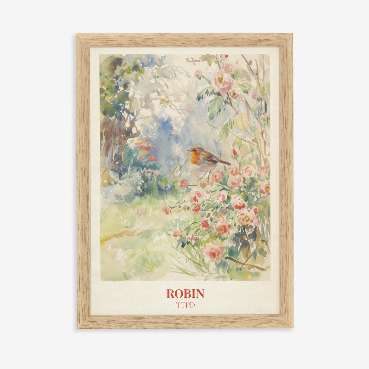 Robin Taylor Swift print of a robin among pink wild roses in a garden, in an oak frame on a plain wall