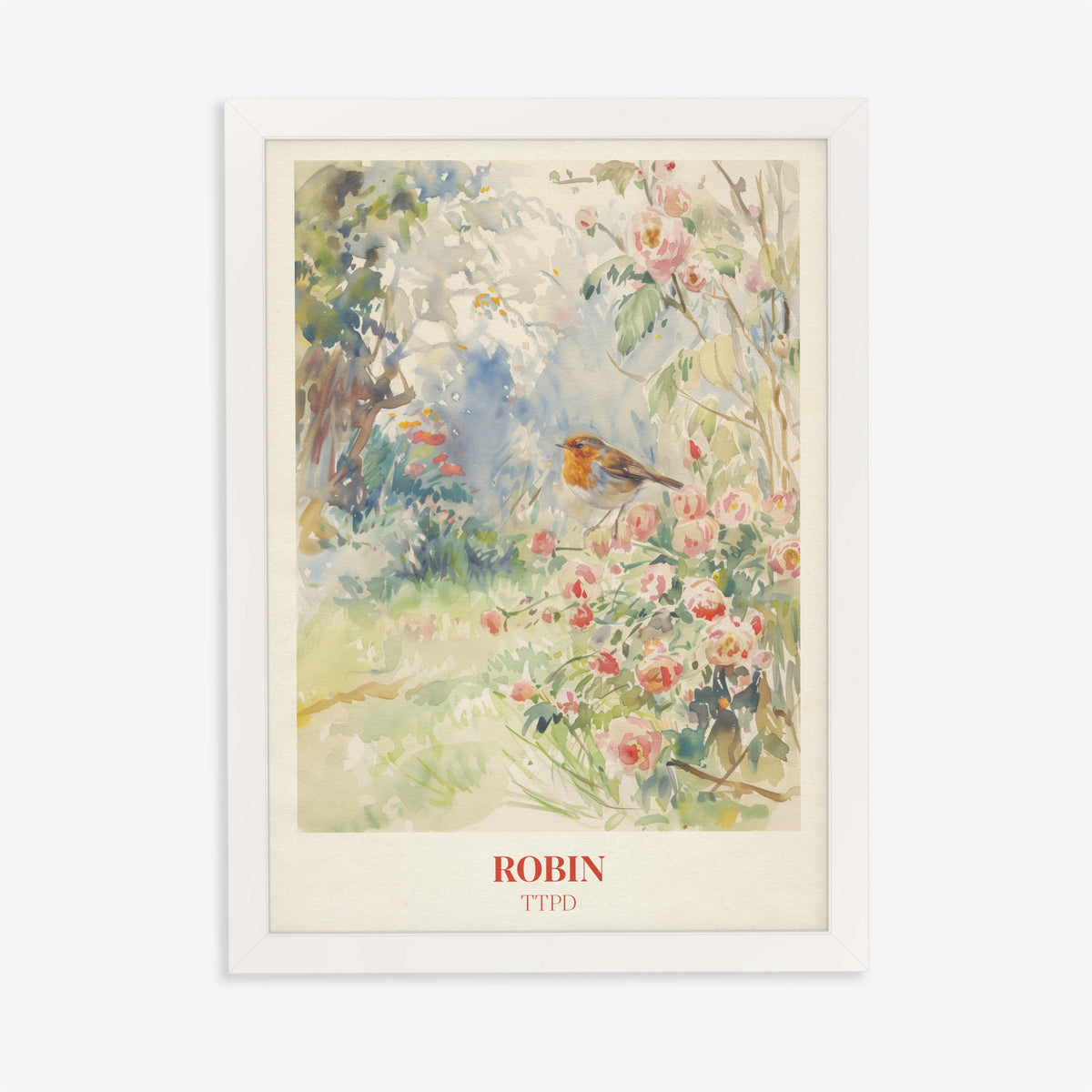 Robin Taylor Swift print of a robin among pink wild roses in a garden, in a white frame on a plain wall