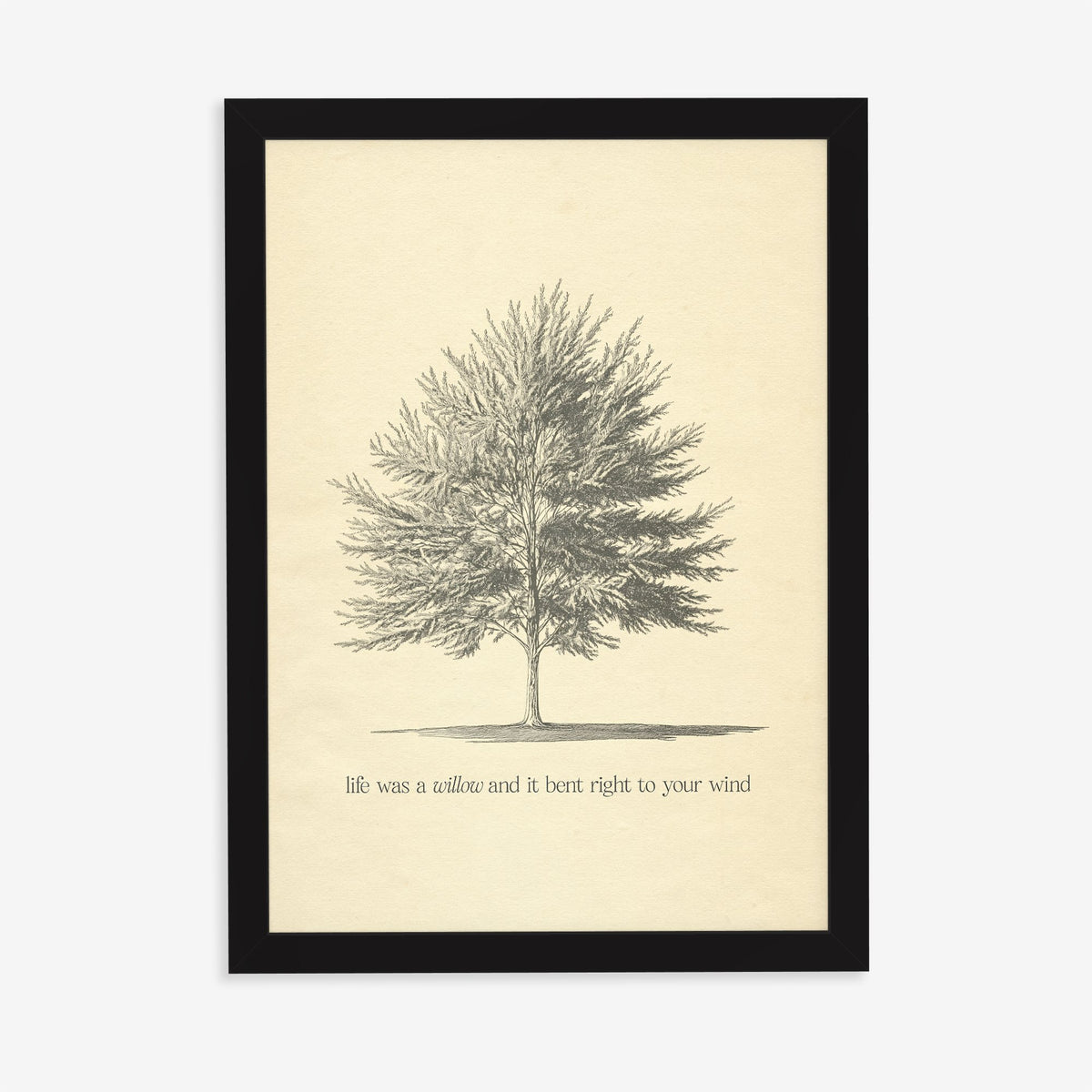 Willow Minimal Taylor Swift print of a pencil-sketched tree above a line from the song, in a black frame on a plain wall