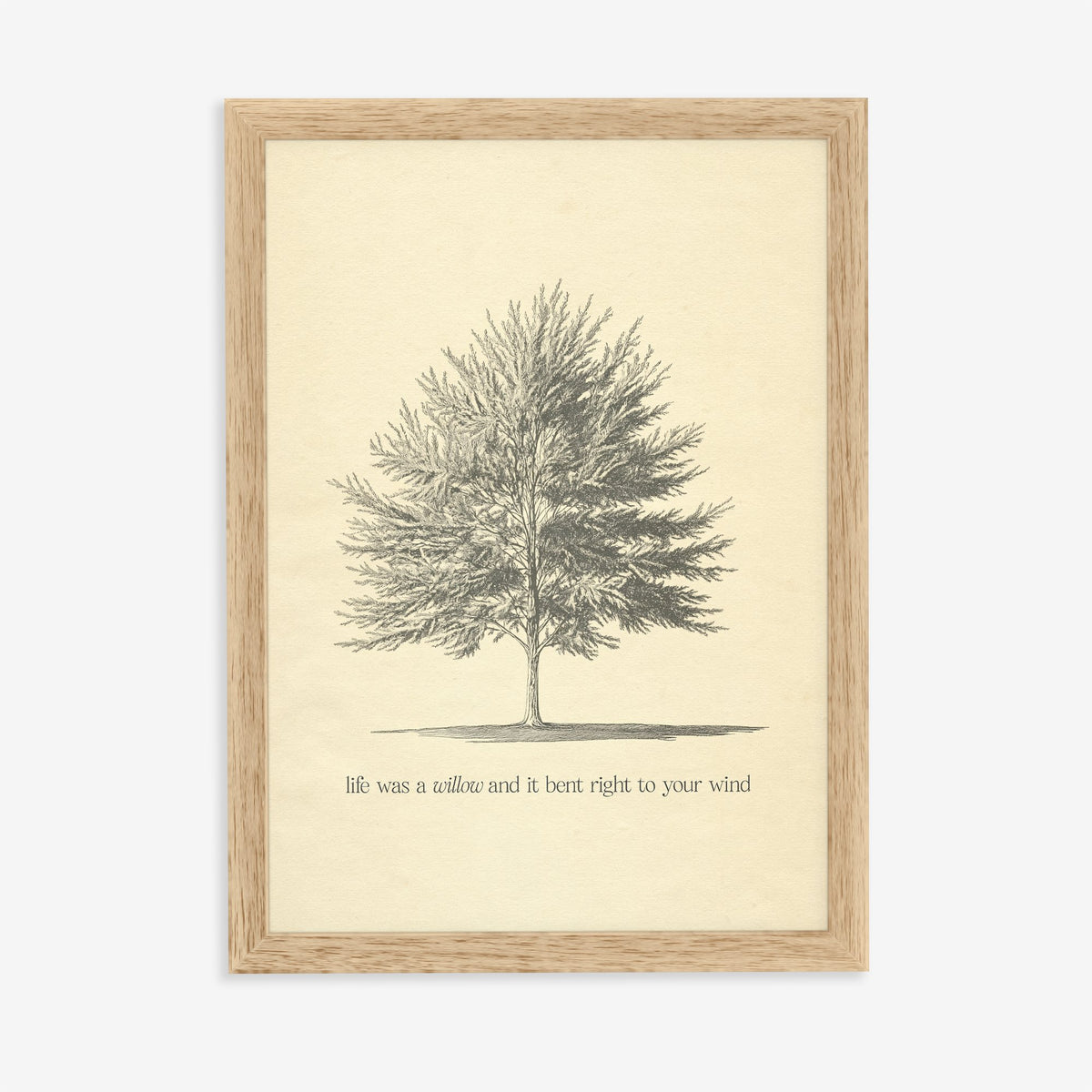 Willow Minimal Taylor Swift print of a pencil-sketched tree above a line from the song, in an oak frame on a plain wall