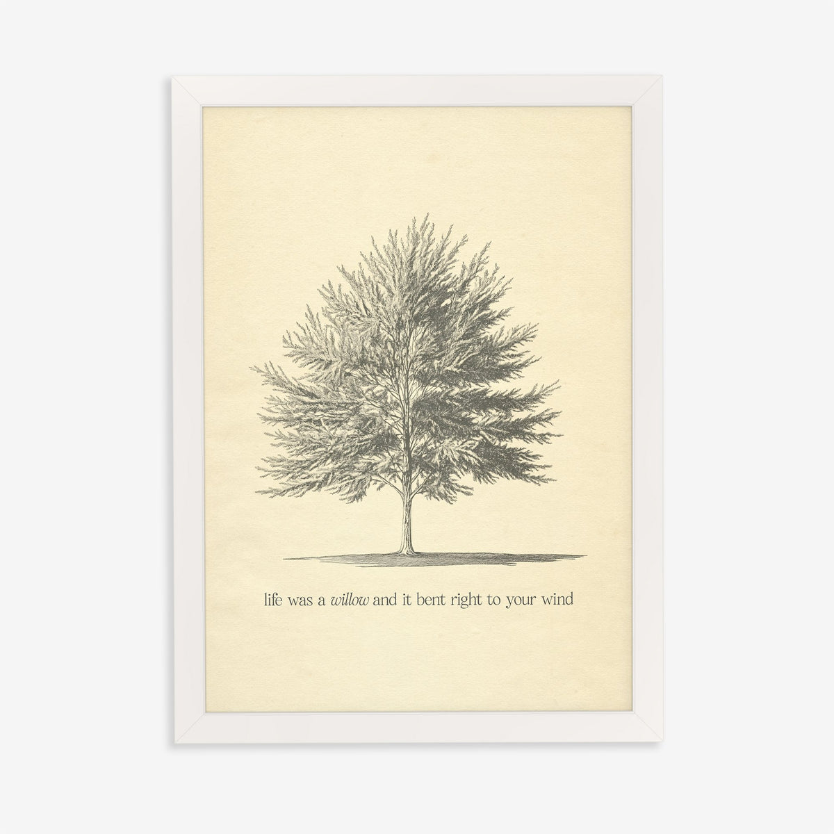 Willow Minimal Taylor Swift print of a pencil-sketched tree above a line from the song, in a white frame on a plain wall